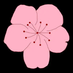 已满十八岁在线播放电视剧大全软件APP应用